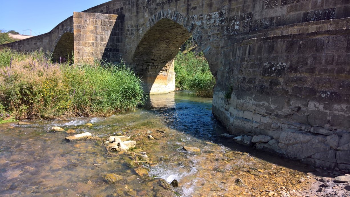 foto100
